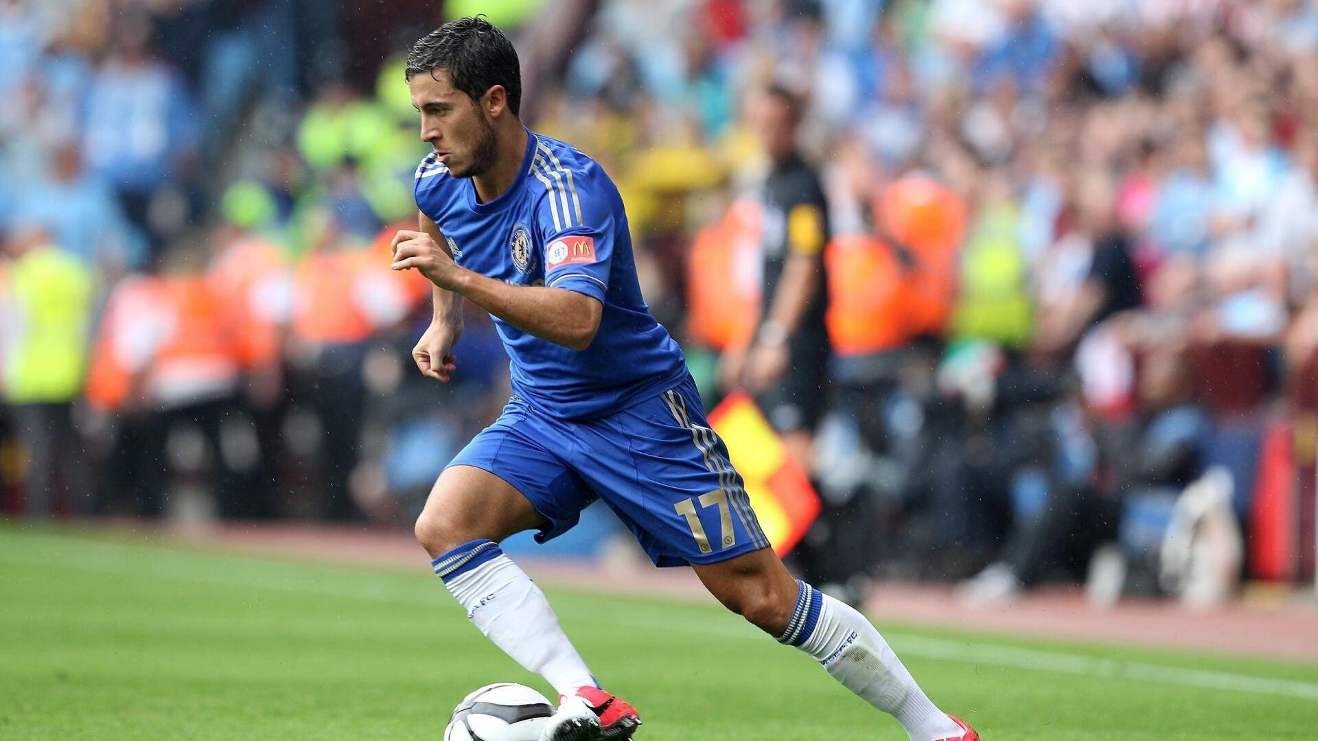 克罗地亚马术协会举办马匹护理培训班，提高骑手护理技能。